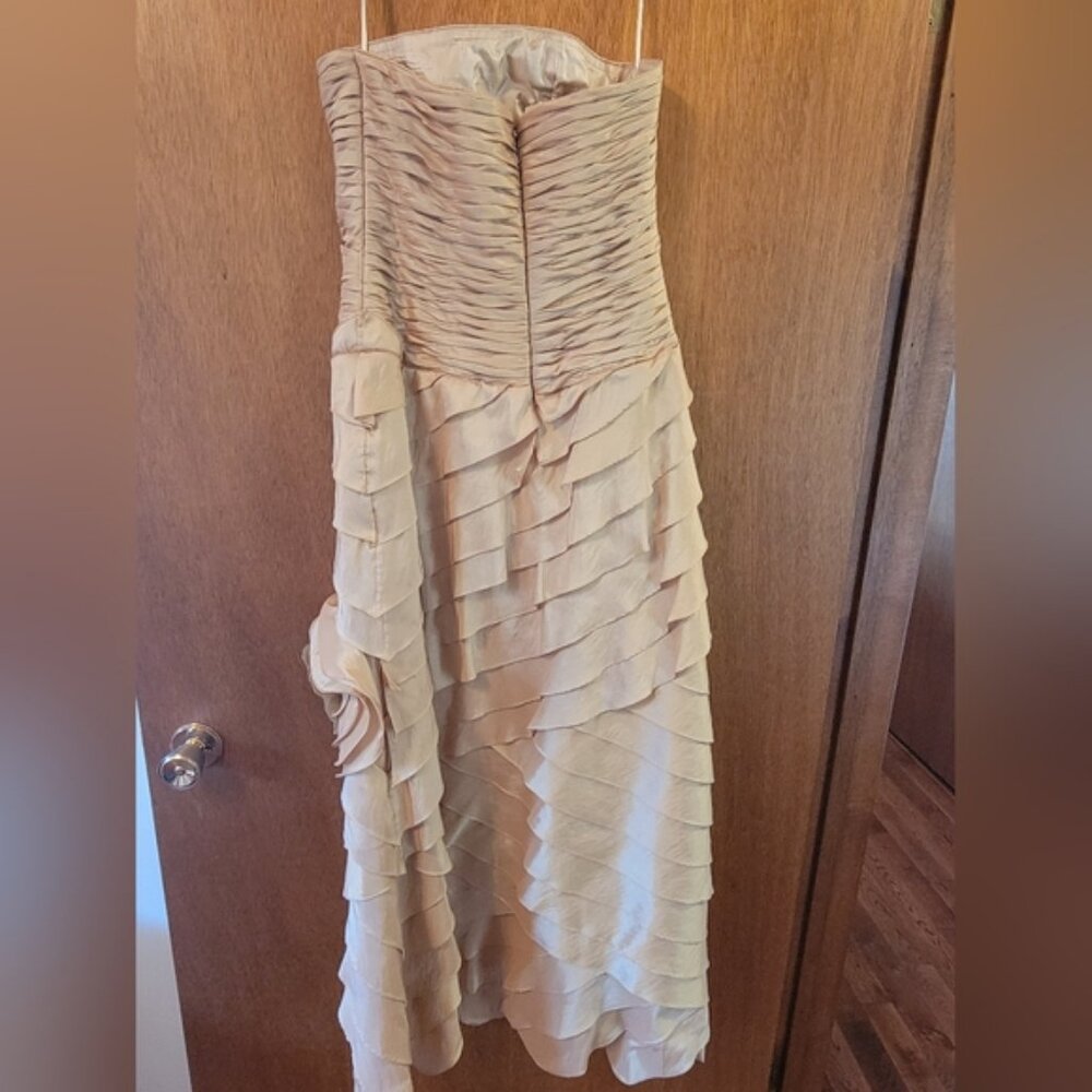 Beautiful Gown - Picture 2 of 5